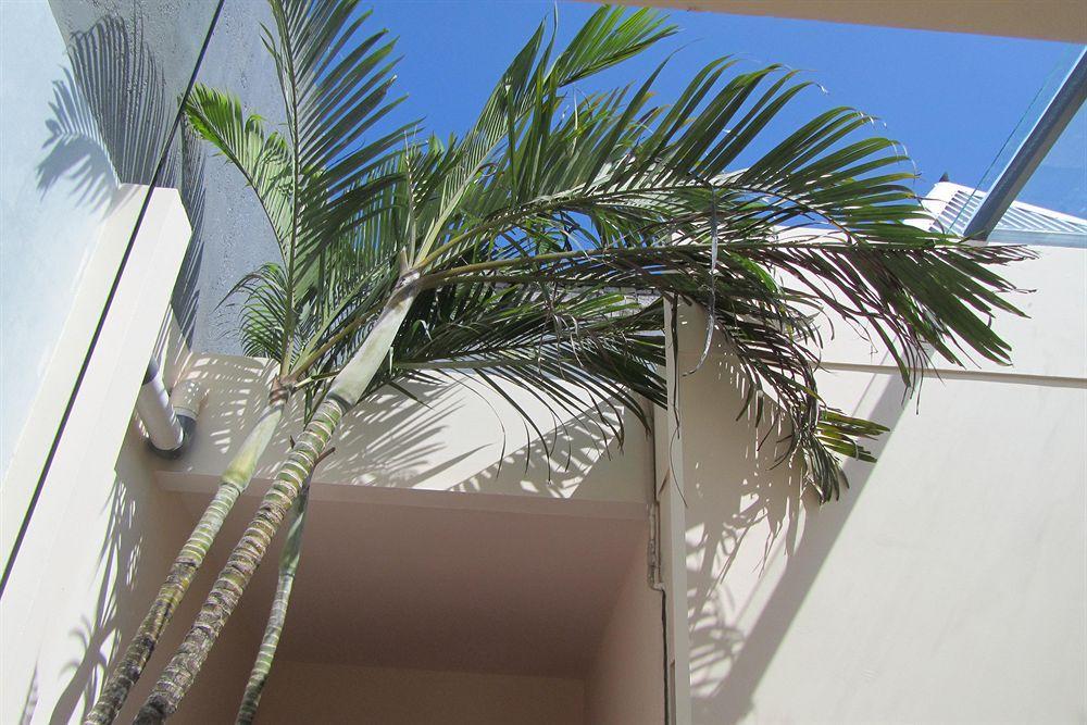 Villa Bali Ginger Suites&villa *